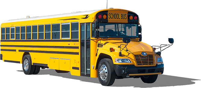 Image result for yellow school bus