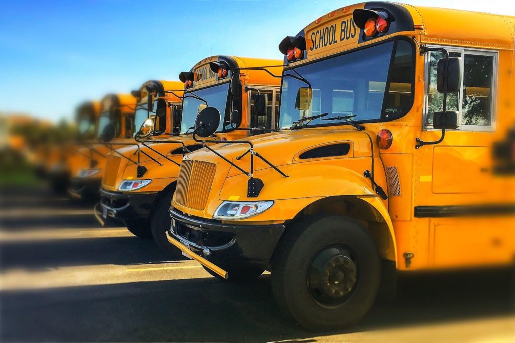 3-fun-facts-about-buses-yellowbird-bus-company